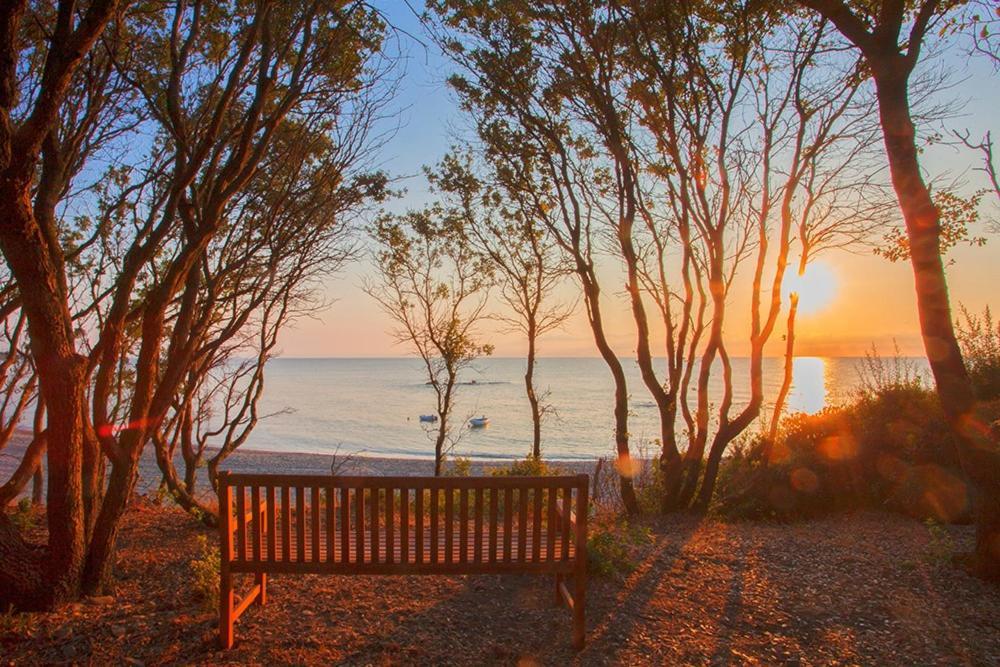 Camping Bagheera Village Naturiste 4*